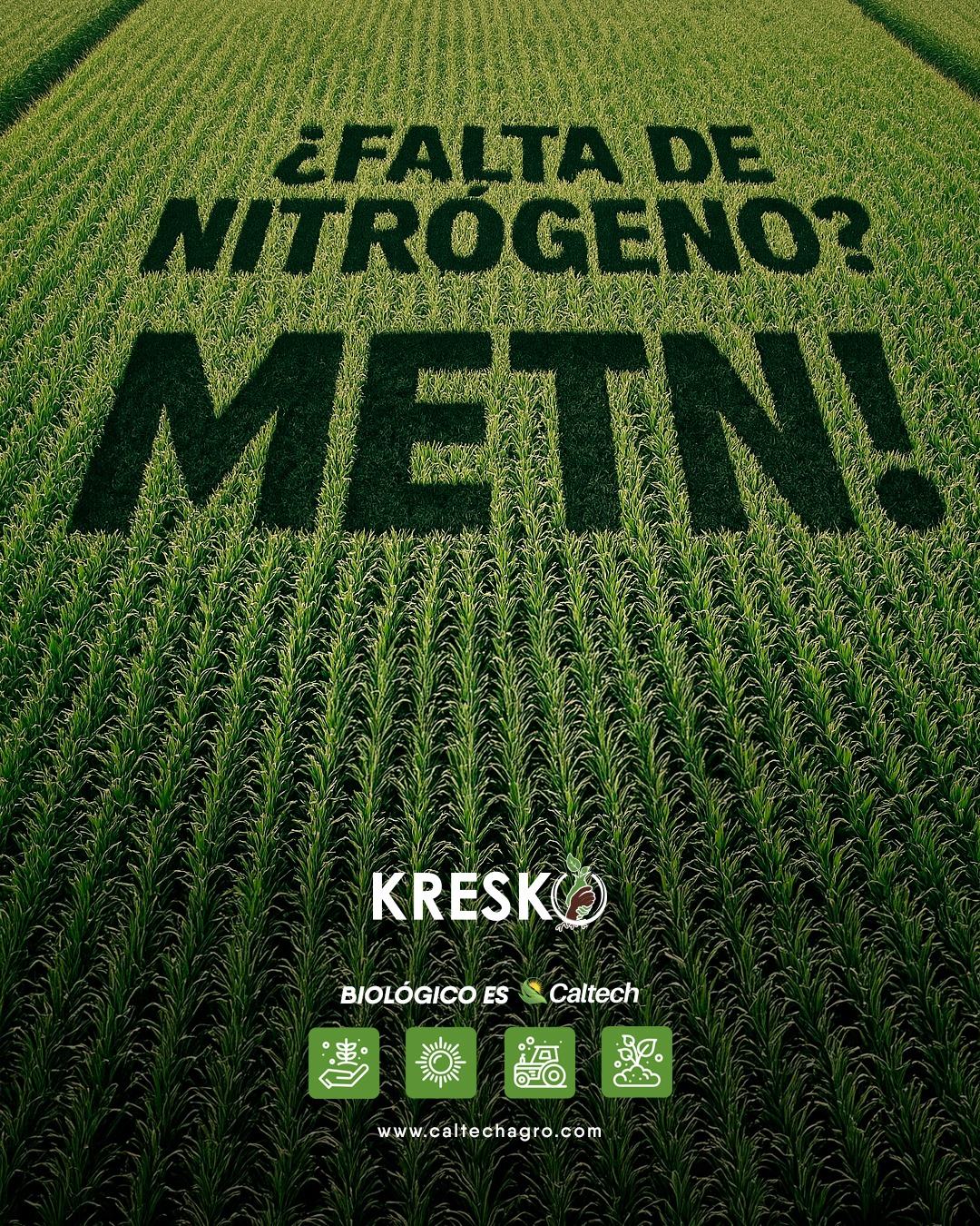 ¿Lo viste? Fertilizante vivo que sustituye la urea y rompe los techos productivos.